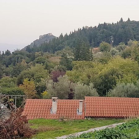 Maison d'hôtes Luxury House In The Hills à Sparte Extérieur photo