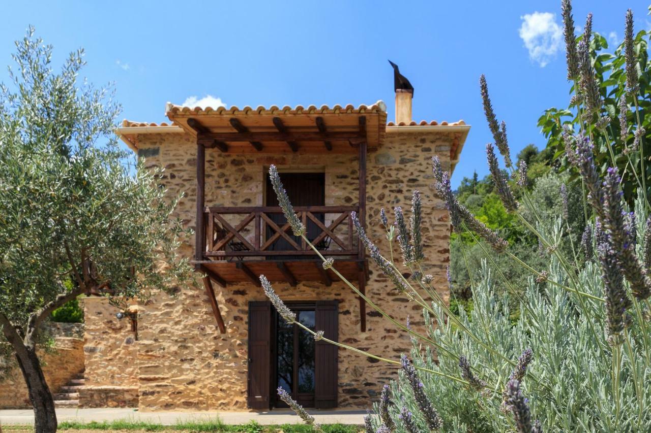 Maison d'hôtes Luxury House In The Hills à Sparte Extérieur photo