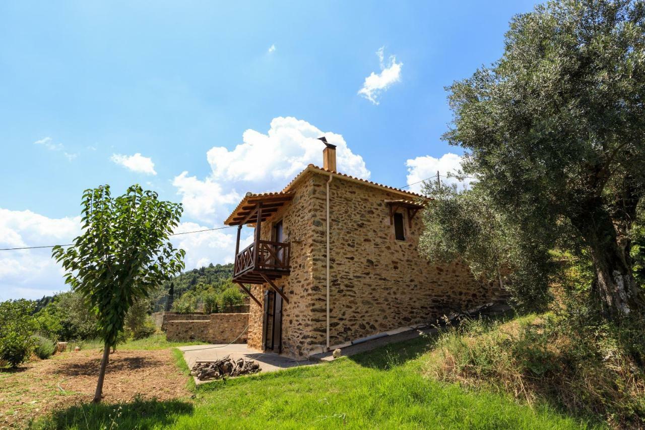 Maison d'hôtes Luxury House In The Hills à Sparte Extérieur photo